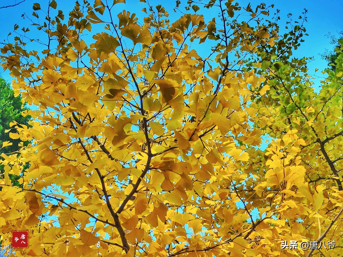 Mazurier tweet media