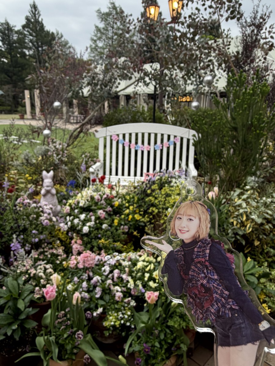 くわちょ tweet media