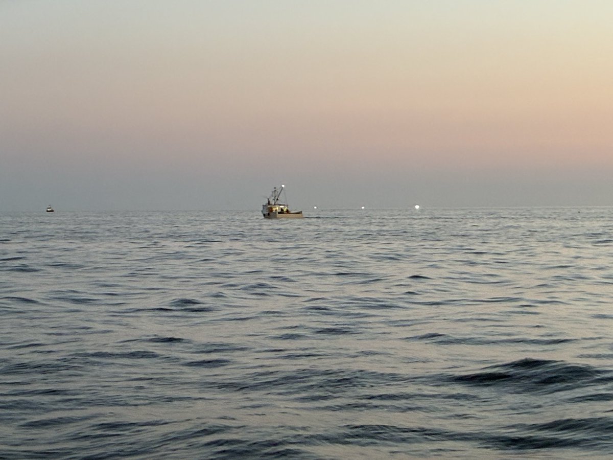 🇨🇦🇨🇦saltshaker76🇨🇦🇨🇦 tweet media