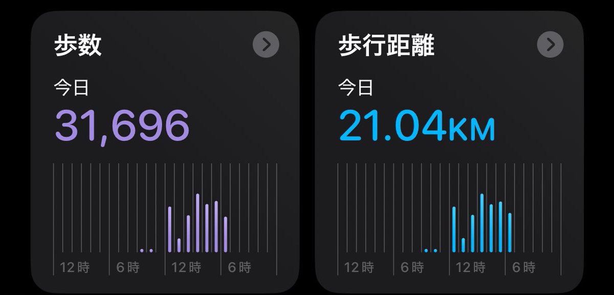 のら🎀🐯白虎 tweet media