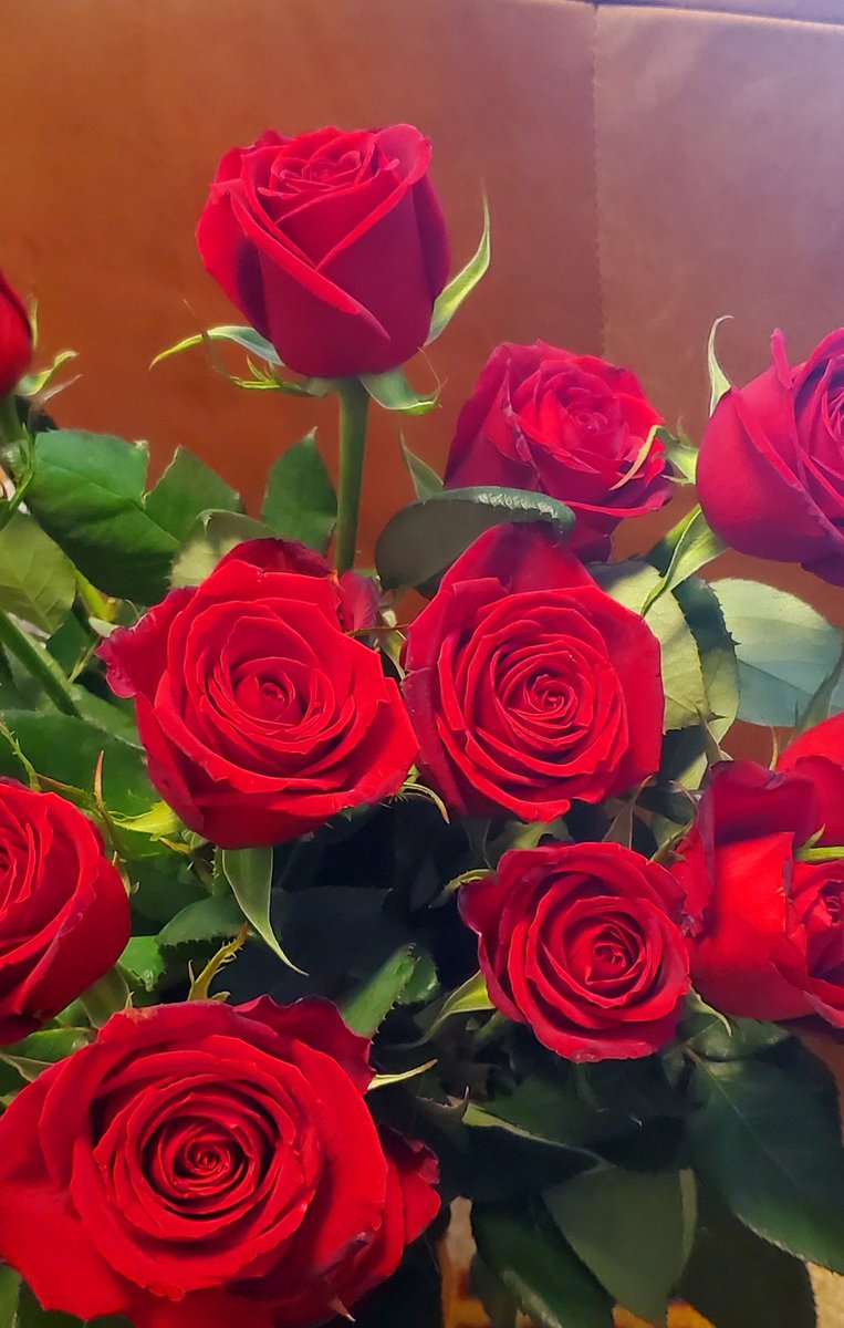 kai1019jp's tweet photo. #薔薇 
#涙活
#きみに読む物語
綺麗…。
やっぱり、赤い薔薇。
凄く好きです。
花を飾ると、心も和みます。
映画『きみに読む物語』を
初めて鑑賞。
元々、ラブストーリーが苦手で…
でも、凄く素敵な物語でした。
まるで…
赤い薔薇の花言葉のよう。
『愛情』そのものでした。
感無量。 https://t.co/Ct11SzxRqb