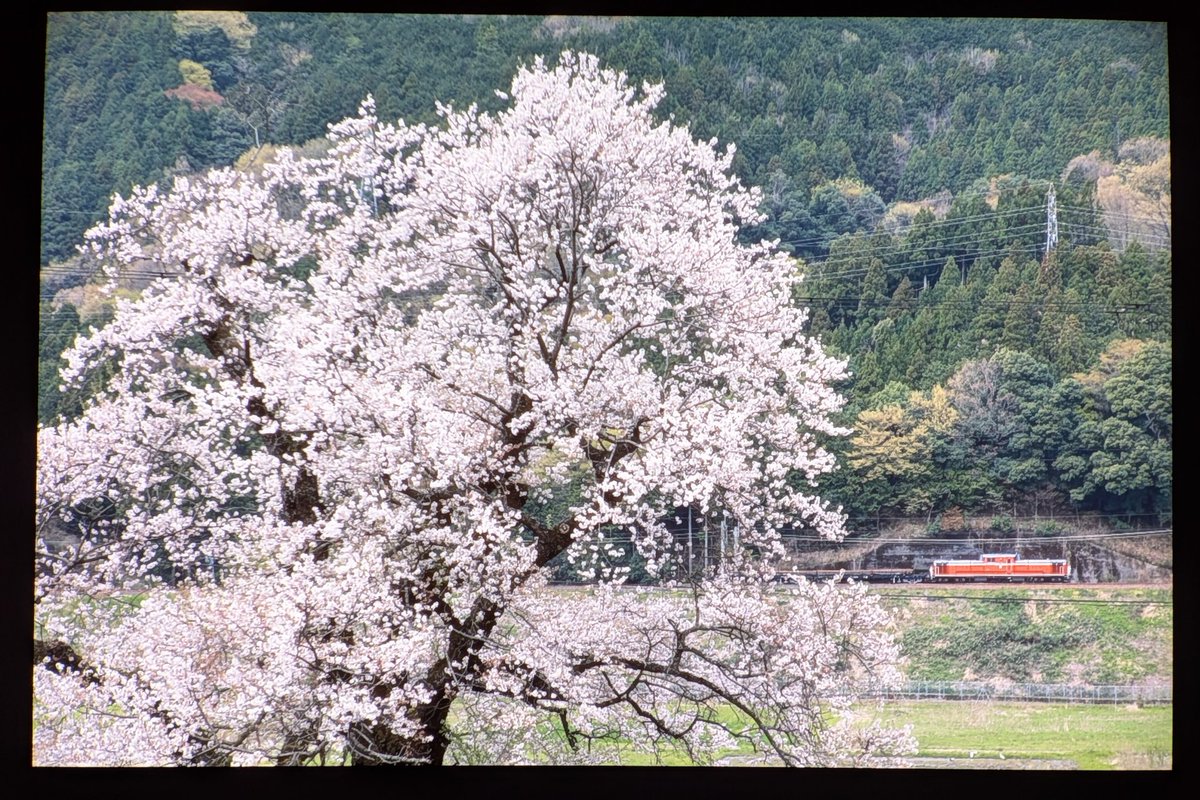 あにとれ tweet media