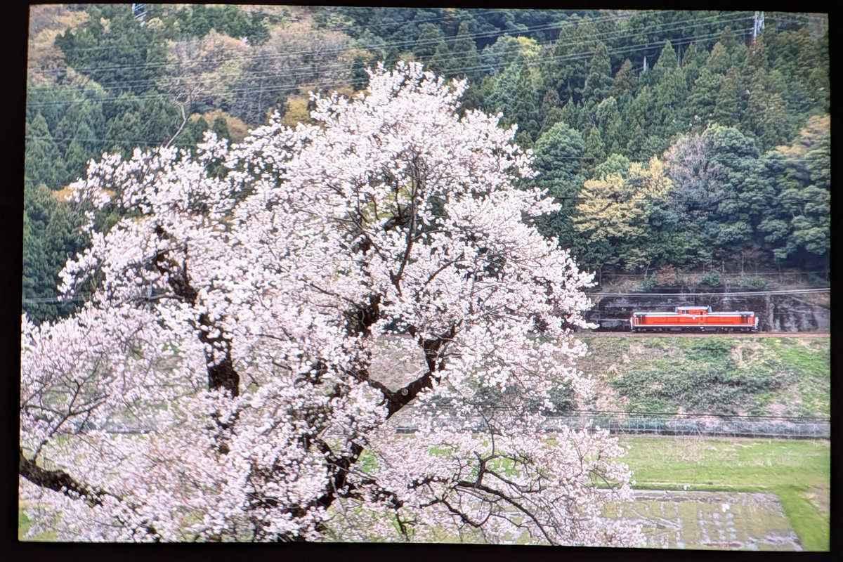 あにとれ tweet media