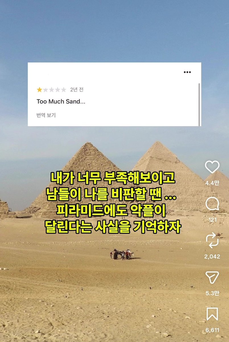 닌자밥팅 tweet media