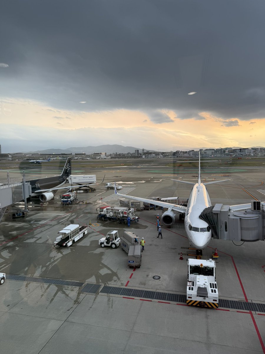 中村太陽 tweet media
