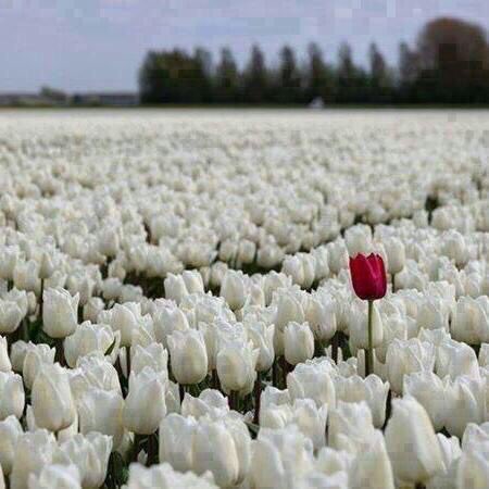 ((شااارد)) 🏃🏻‍♂️🏃🏻‍♂️ tweet media