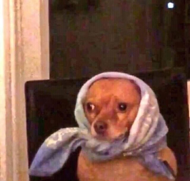 raven⁷⁷⁷ tweet media