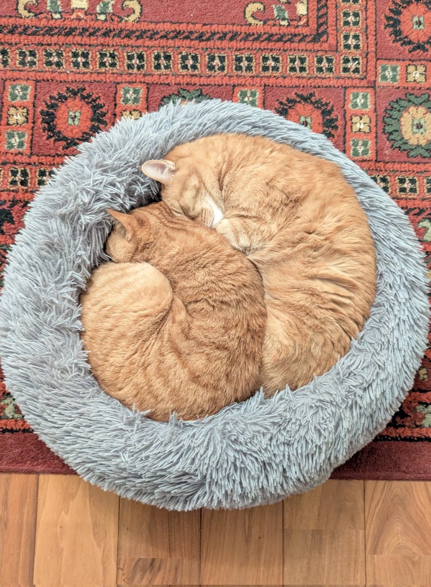 ストーブつけたげるね