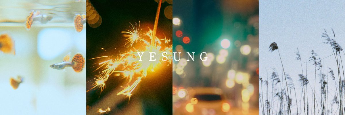 🈁🐈‍⬛ tweet media