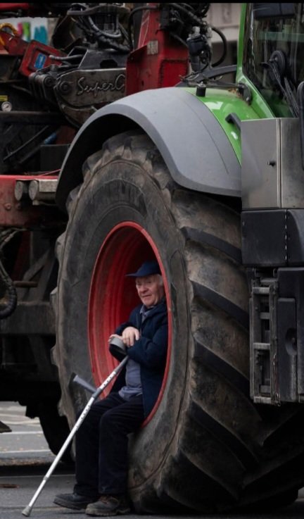 Mandy Gall tweet media