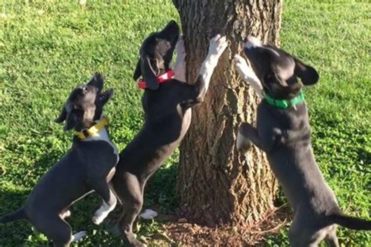 Eva Close tweet media