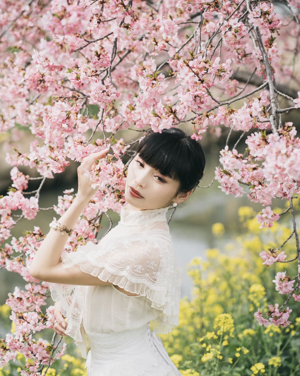 inevitable0102's tweet photo. 🌸 https://t.co/bVzTau6xzA