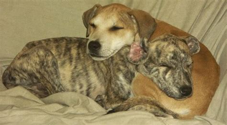 Eva Close tweet media