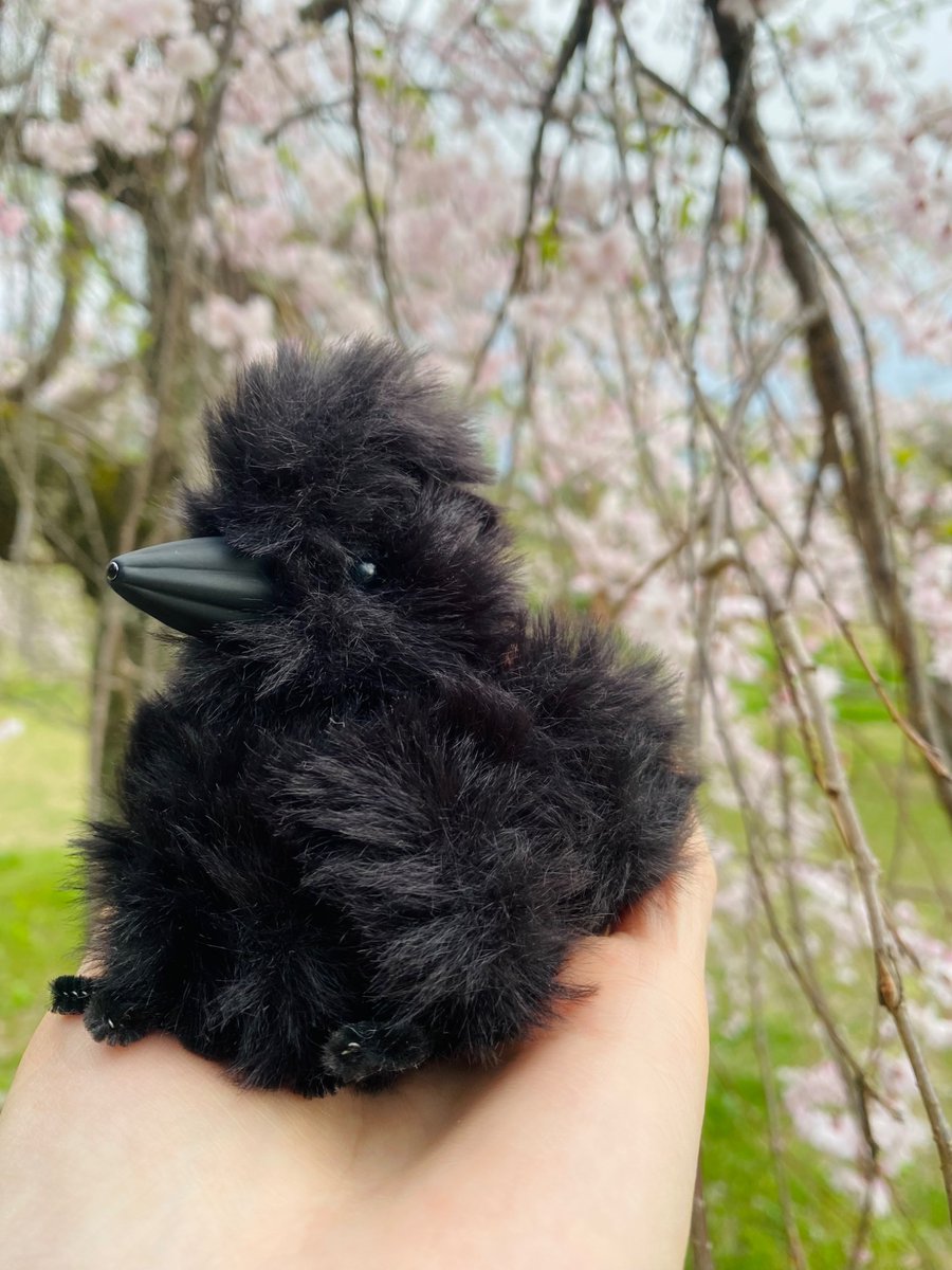 きみどりいろ🕊️DM販売中 tweet media