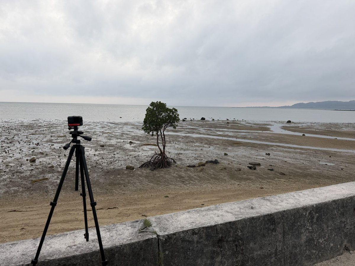 スニタ tweet media