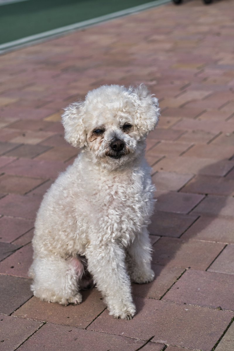 Jose Pródigo tweet media