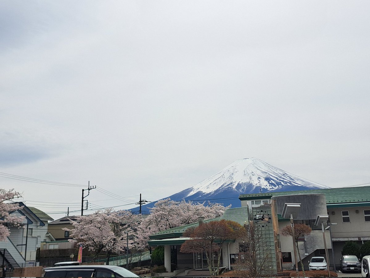 milioncafe's tweet photo. @Hawaii_Lilian ありがとうございます😽
本当に今！🌸🗻って感じです😊 https://t.co/QkJy8gcgwg