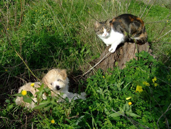 Jose Pródigo tweet media