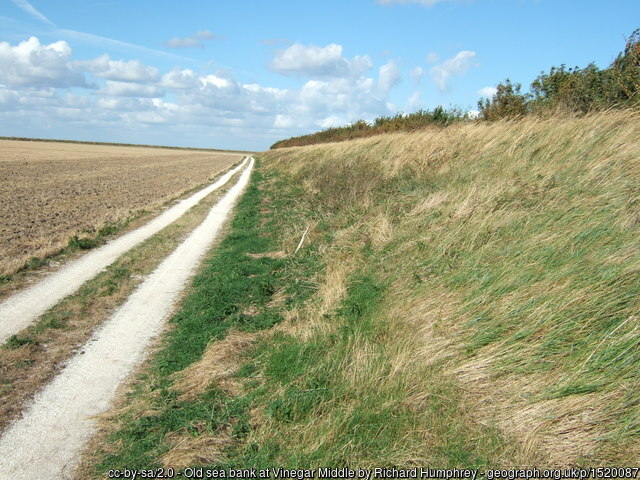 Photos of Britain tweet media