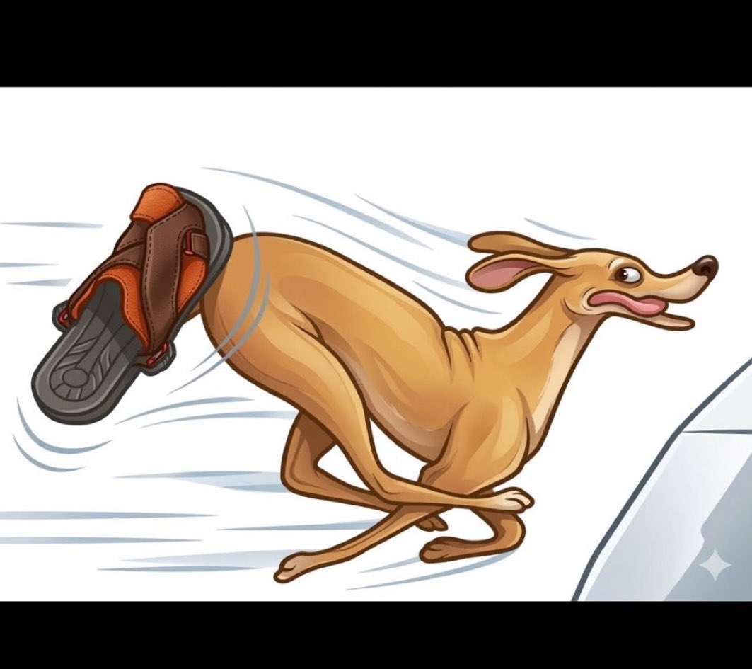 كـــوب شـــاهـــي❤️ tweet media