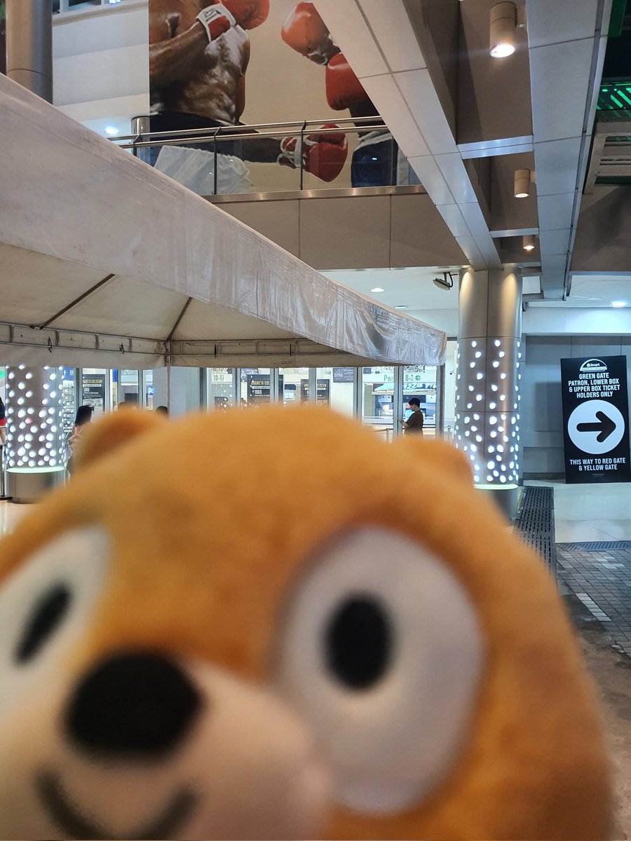 Daily Woff Migration ~○ tweet media