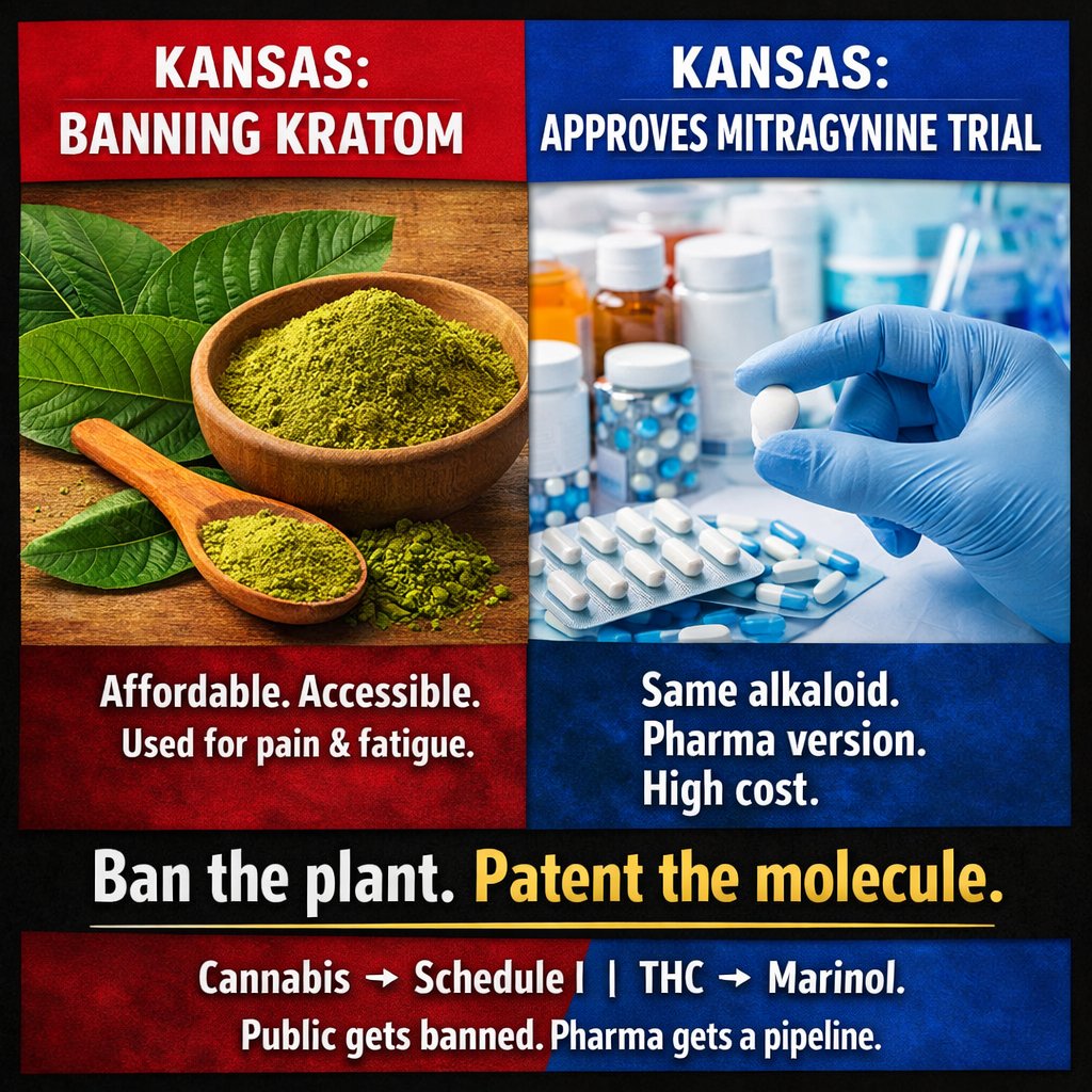 Dr. Michele Ross tweet media