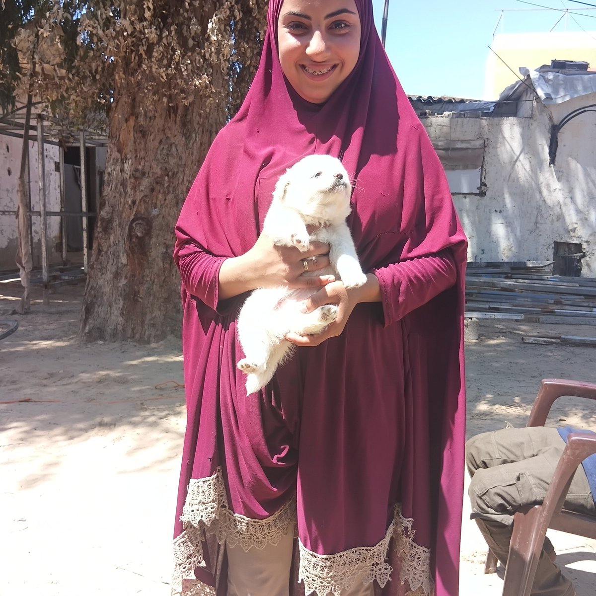 Fatima in Gaza tweet media