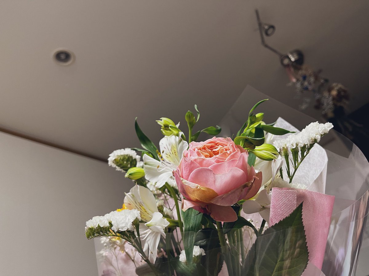 hi　味噌っ子 tweet media