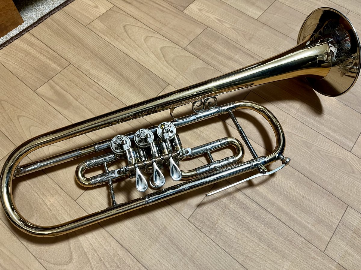 和氣愛仁🎺🌿🐈‍⬛🐈‍⬛ tweet media