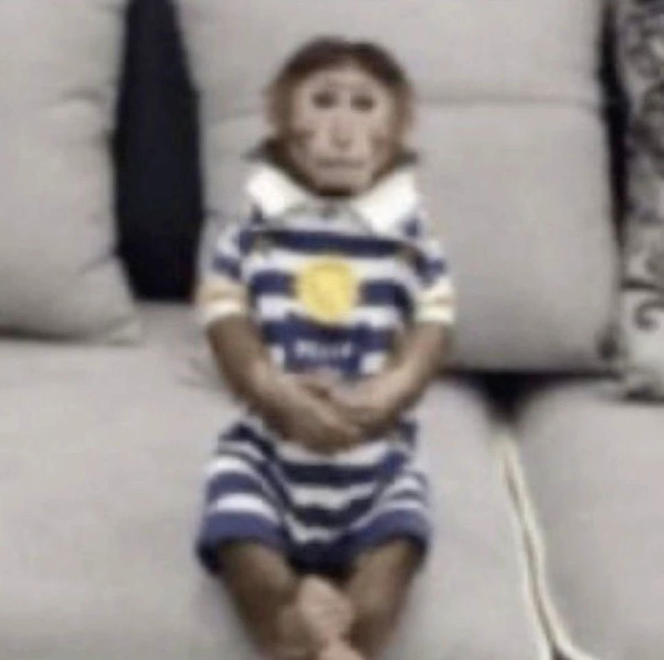 starlover tweet media