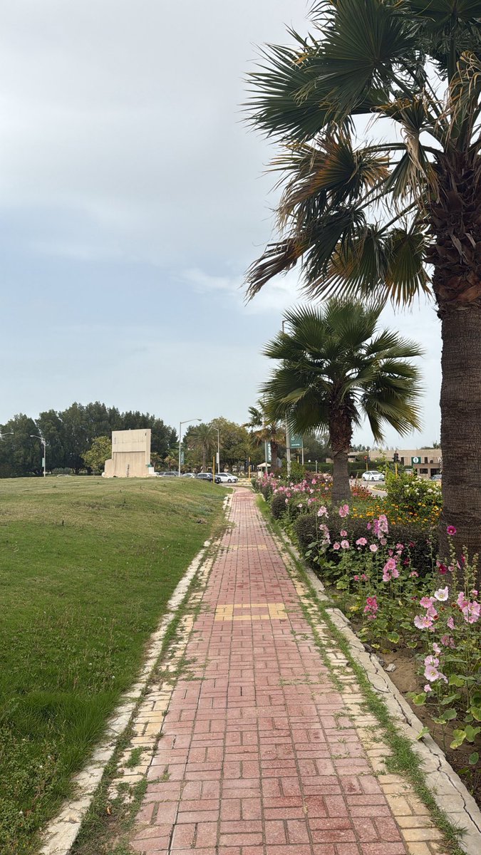 Semo ⚯͛ tweet media