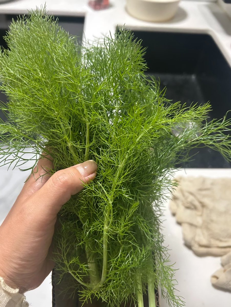 蒹葭（互fo🇨🇳必回💞） tweet media