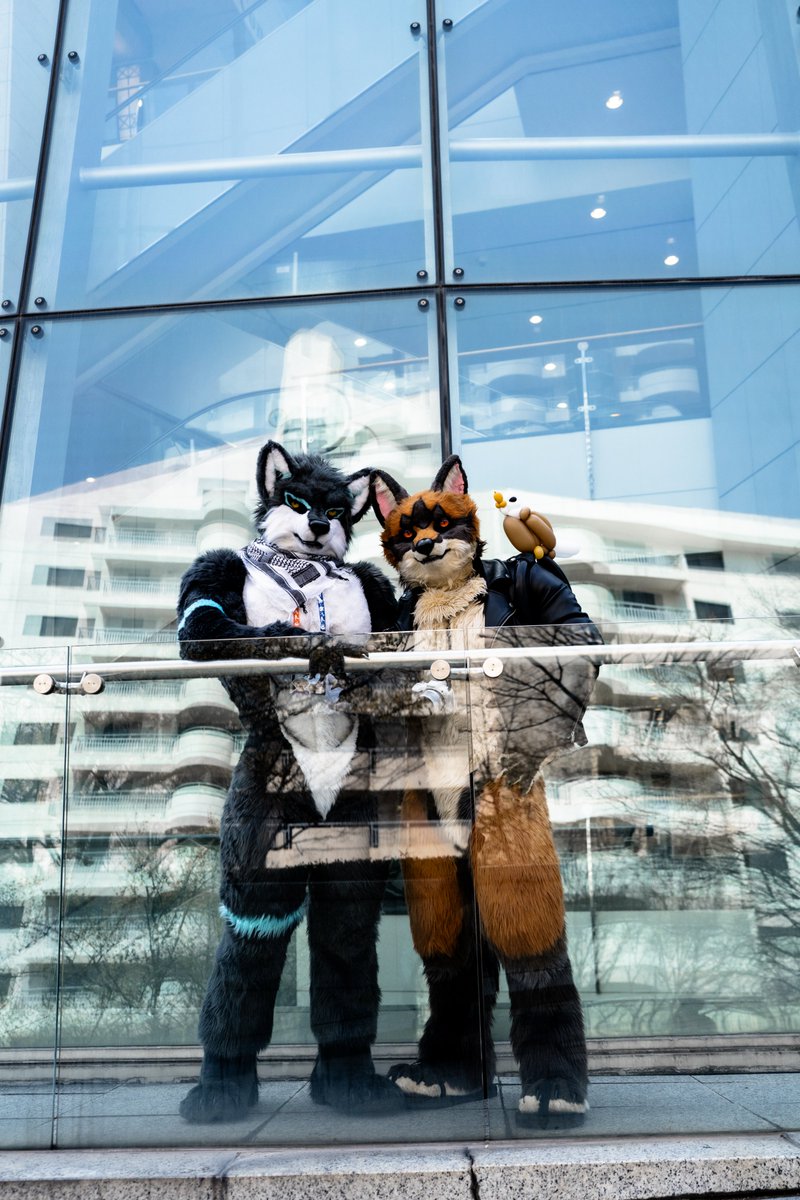 Case_fur's tweet photo. FURST CLASS 2026 : Paws Roastery
#FurstClass #fursuitfriday

⚡️ : 참개 아저씨랑 독수리???참새??랑

@gas6723 https://t.co/I0CgPidsIC
