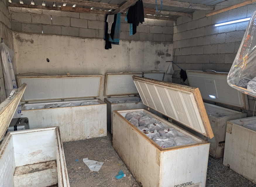 صور | أمانة جدة تُتلف أكثر من 3 أطنان من الذبائح الفاسدة #جدة 