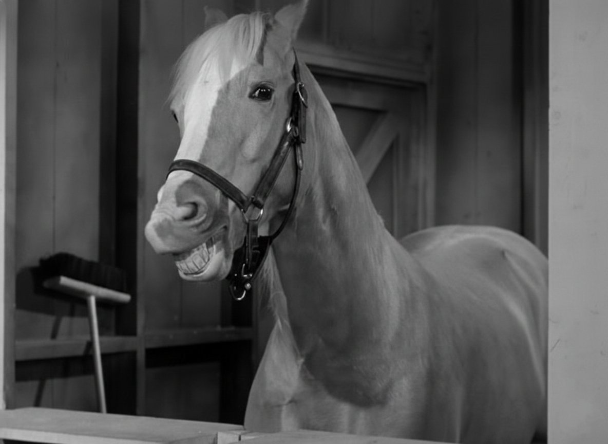 𝐌𝐚𝐭𝐭 𝐏𝐢𝐧𝐧𝐞𝐫 tweet media