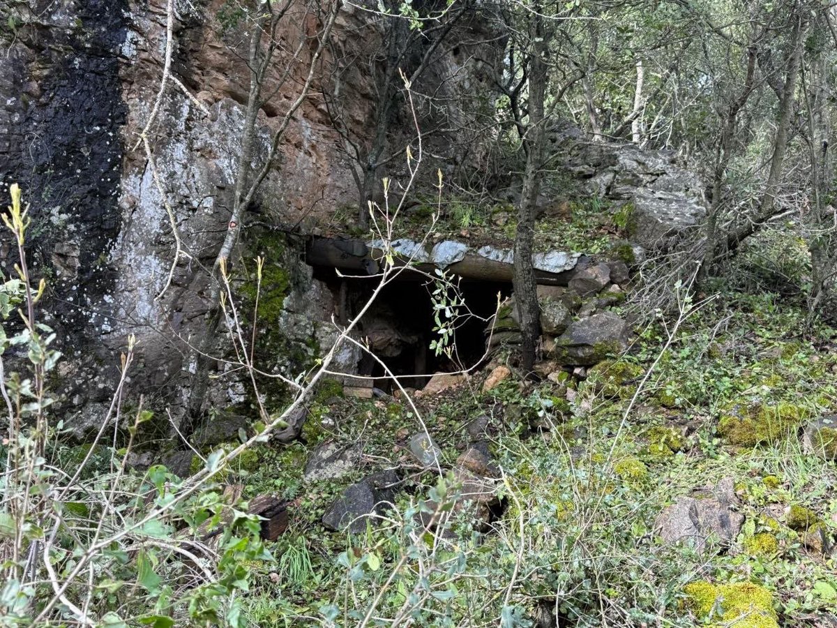 מה חדש. What's new❓ tweet media