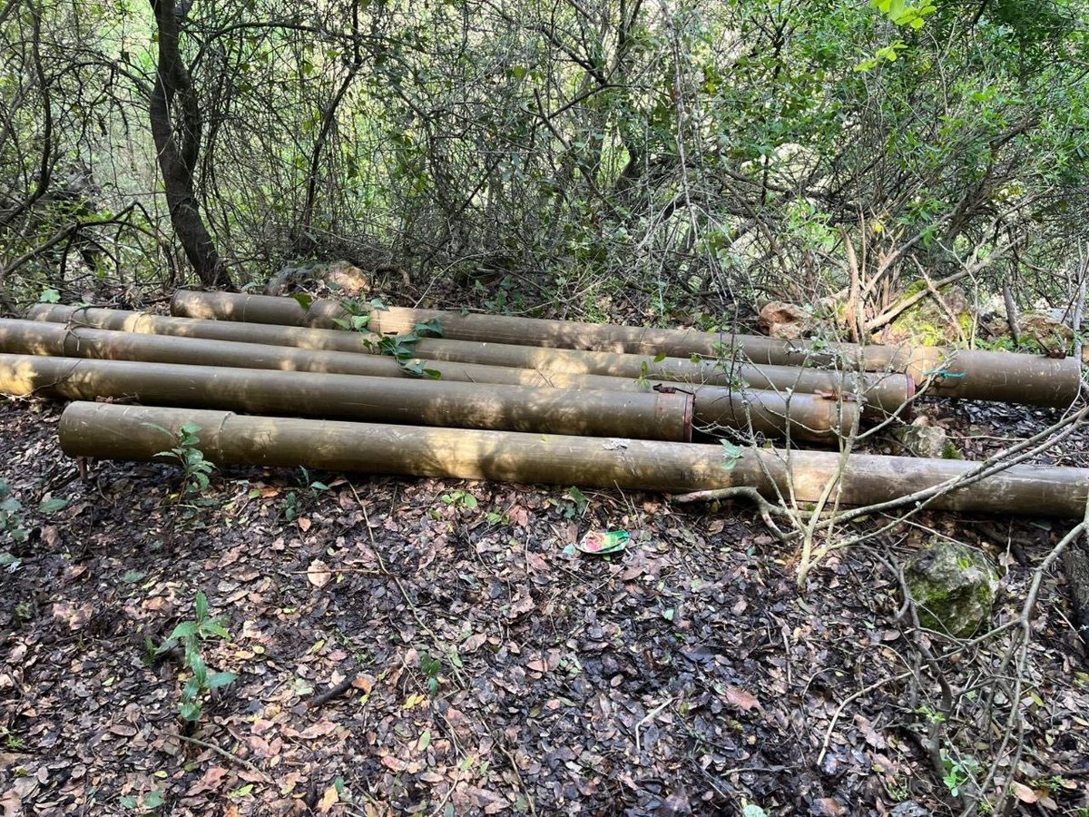 מה חדש. What's new❓ tweet media