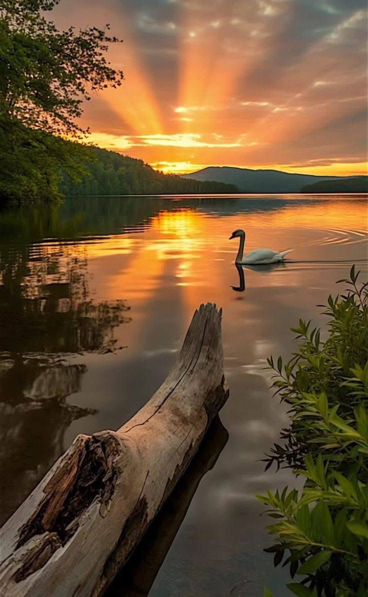 DispurseStar2's tweet image. "We suffer more often in imagination than in reality. Don't let future fears rob you of today's strength."———-

Seneca 
#Stoicism #Mindfulness