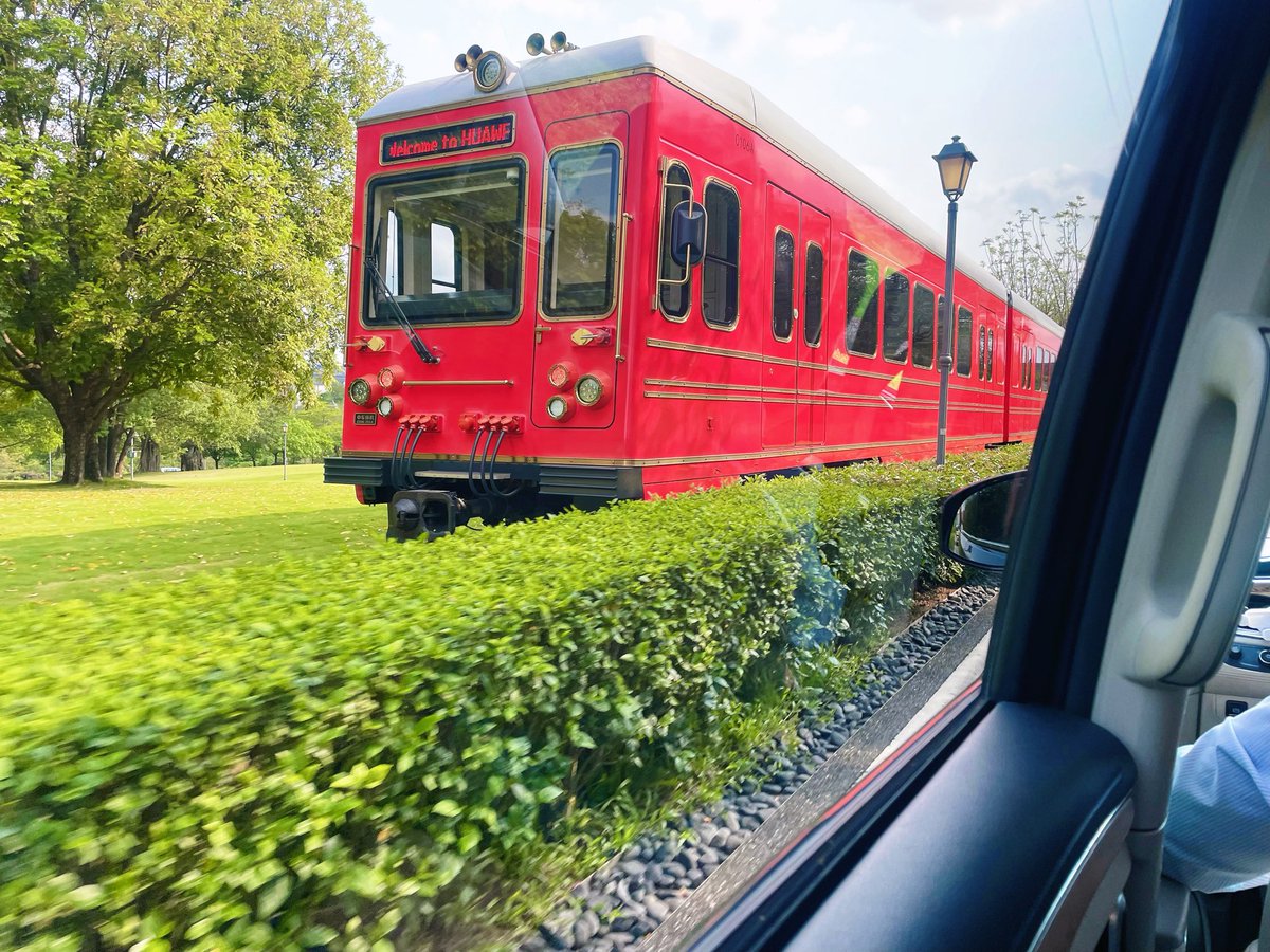 小蜜蜂 tweet media