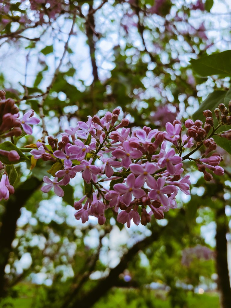 アルマトゥは今日も雨だった☔