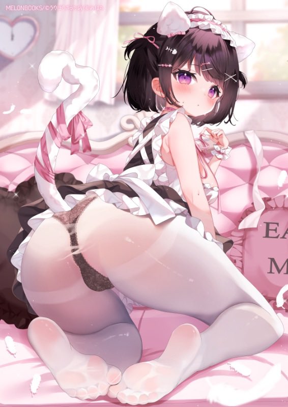 みはち🐾 tweet media