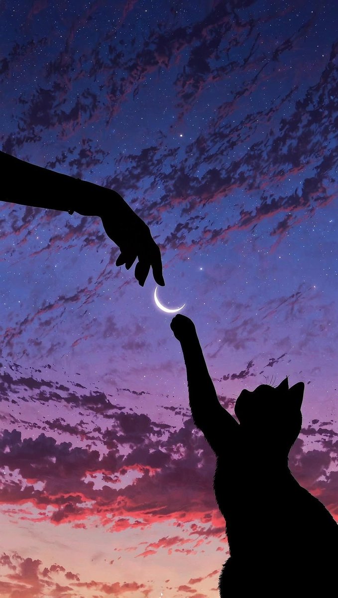 Solithra ☀️ tweet media