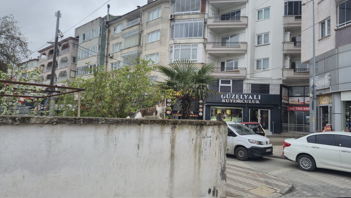 Oğuzhan ✨ tweet media