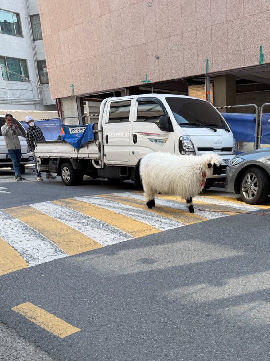 鉄道組_撮り鉄 tweet media