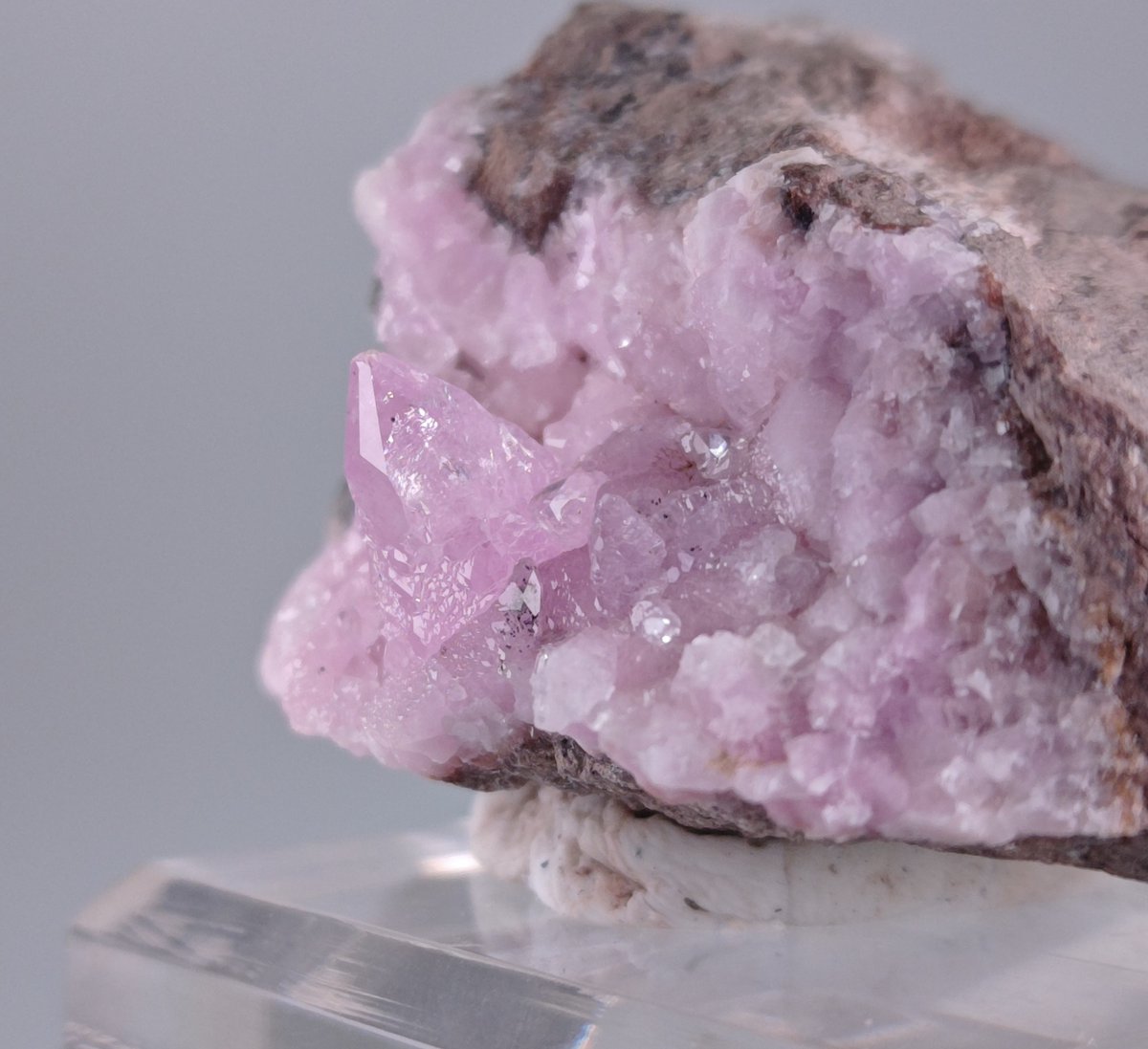 ひばち tweet media