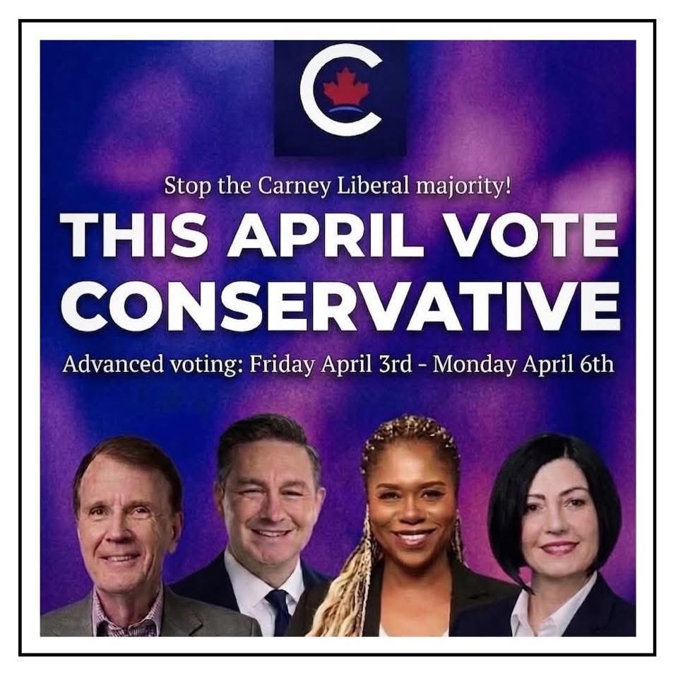 SScriver tweet media