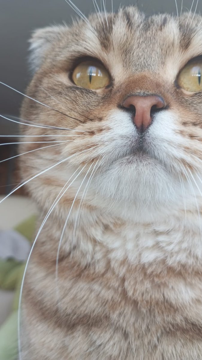 Tamer Durak tweet media