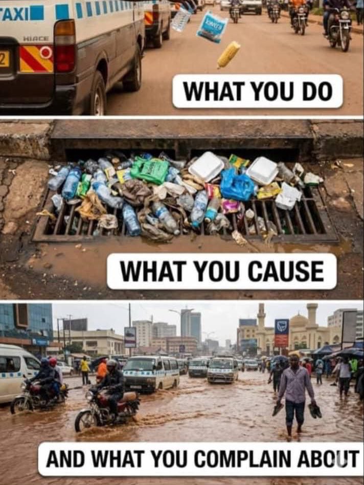 Buzstopboys tweet media