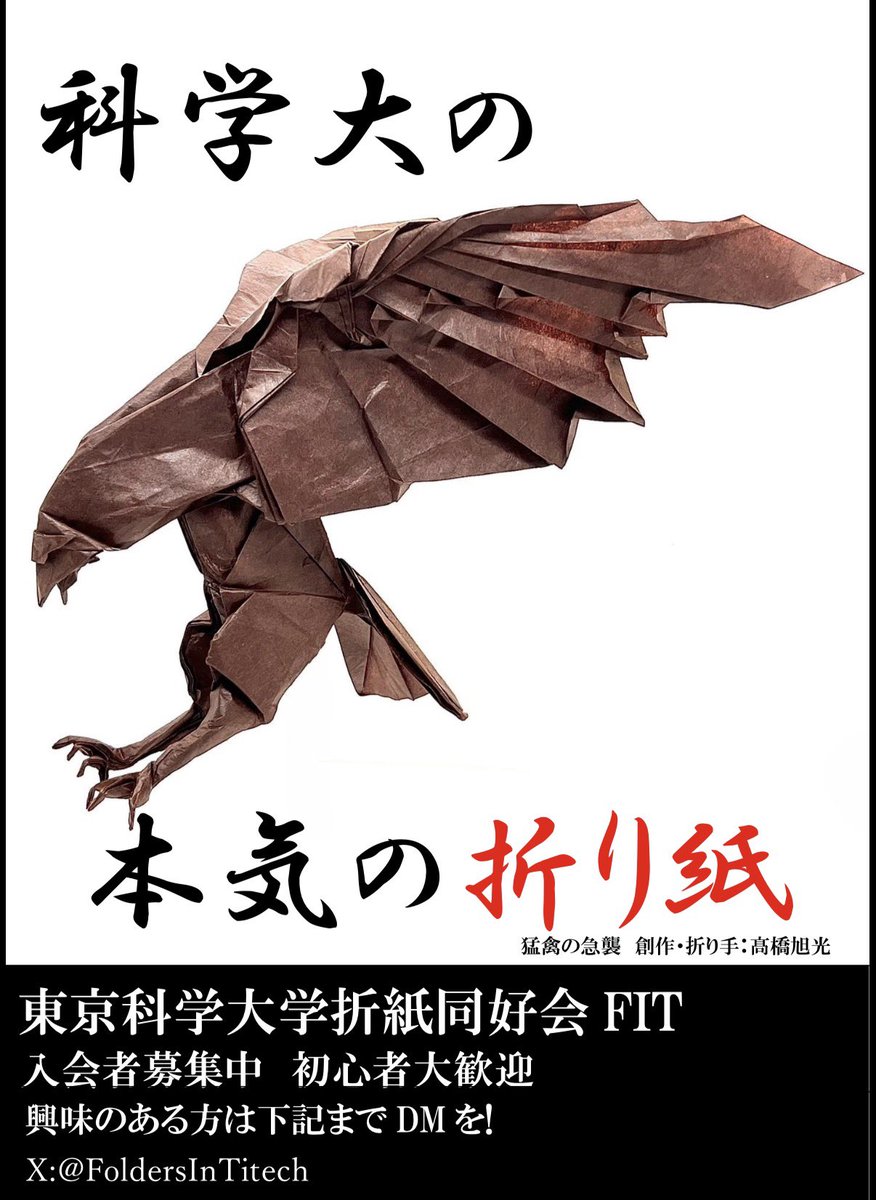 東京科学大学折紙同好会FIT tweet media