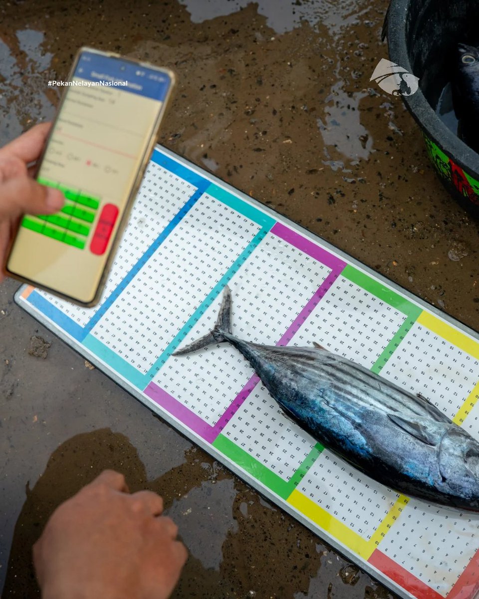 MDPI Foundation tweet media